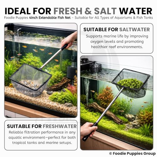 Image of Foodie Puppies Extendable Fish Net (4 Inch /10 cm) | Aquarium Fish Net with 9-22 Inch Telescopic Handle for Betta, Small Koi Pond & Pool | Stainless Steel Handle, Fine Mesh Net for Fish & Shrimp Tank