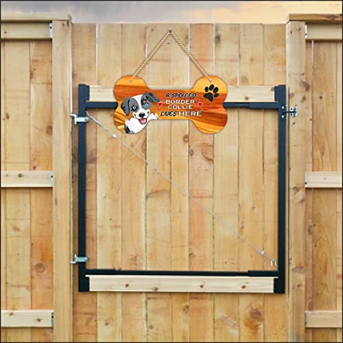Image of CVANU Laser Cut MDF Wooden Funny Dog Sign Plaque Bone Design A Spoiled Border Collie Lives Here Animal Love Sign Board, Name Plate for Dog House, Size(10x5) inch