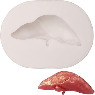 Human Organs Silicone Molds Liver Chocolate Fondant Baking Molds for Halloween Party Cake Decorating Cupcake Topper DIY Candy Cookies Polymer Clay