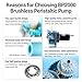 BP2000 Peristaltic Pump Micro Brushless Motor 2000ml/min High-Flow Water Pump Suitable for Bubble Tea Machines and Industrial Filling Applications 12V/24V (Silicone Tubing, 24V, 35#, Type A)