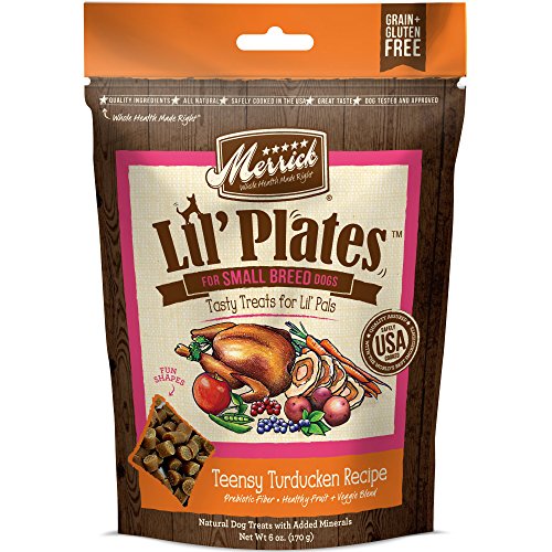Best Small Plate For Dogs