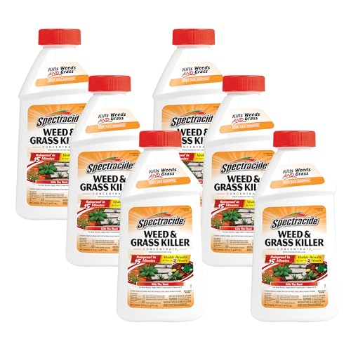 Image of Spectracide Weed And Grass Killer Concentrate 16 Ounces, Use On Patios, Walkways And Driveways, 6 Pack