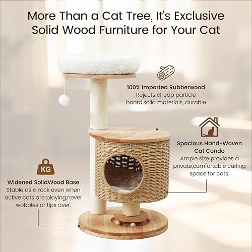 Árbol para Gatos de Madera Maciza con Condominio y Rascador miniatura 4