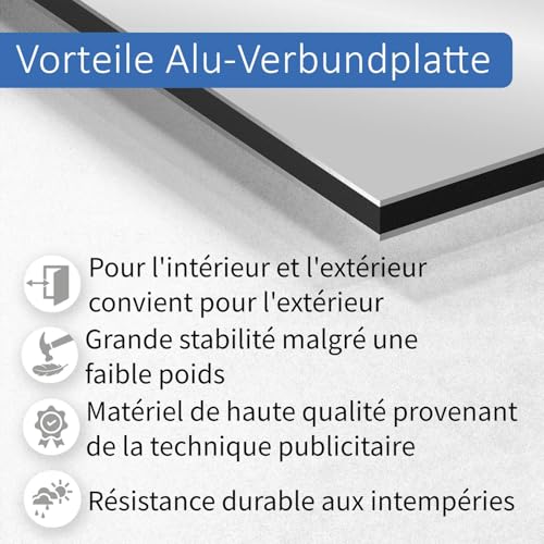Plaque composite aluminium argenté brossé 60x40cm 3mm durable AZ116 - 4
