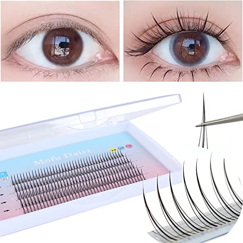 Black False Eyelashes 8/9/10/11/12mm Single Cluster False Eyelashes Available Extend Individual Eyelashes Blend Natural Medium Vacation Eyelashes Beauty Health False Eyelashes