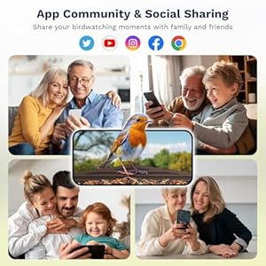 Smart bird feeder with camera solar powered 25k hd free ai identifies 12000 birds auto motion detection waterproof wooden video bird feeder camera live gift of bird lover wifi  urban country home decor