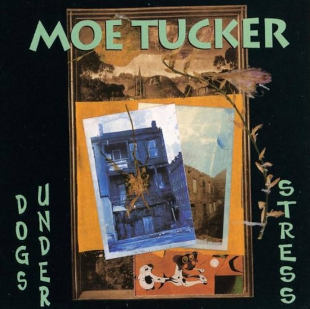 【中古】 Dogs Under Stress． MaureenTucker Amazon.co.jp: Dogs Under Stress.: ミュージック