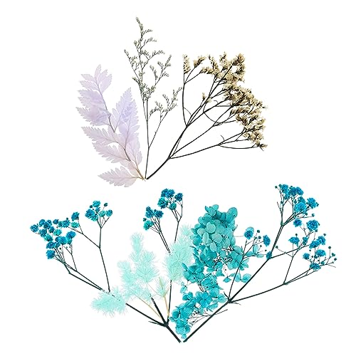 1 set flores secas para manualidades y decoración