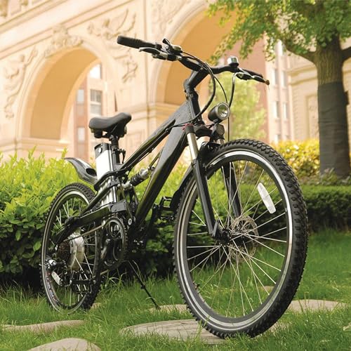 WEIYINGSI Motor Speed Controller 36v 500w Electrical Scooter E Bike Bicycle Tricycle Brush Motor Control Box