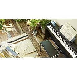 Casio px-870we 88 Keys Blanc Piano numérique – Clavier Électronique (20 W, 1393 mm, 299 mm, 801 mm, 34,3 kg, USB Type-A, USB Type-B) - Les Beatles, Paul McCartney, John Lennon, RIngo Starr, George Harrison Casio px-870we 88 Keys Blanc Piano numérique – Clavier Électronique (20 W, 1393 mm, 299 mm, 801 mm, 34,3 kg, USB Type-A, USB Type-B) – Image 5