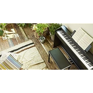 Casio px-870we 88 Keys Blanc Piano numérique – Clavier Électronique (20 W, 1393 mm, 299 mm, 801 mm, 34,3 kg, USB Type-A, USB Type-B) - Les Beatles, Paul McCartney, John Lennon, RIngo Starr, George Harrison Casio px-870we 88 Keys Blanc Piano numérique – Clavier Électronique (20 W, 1393 mm, 299 mm, 801 mm, 34,3 kg, USB Type-A, USB Type-B) – Image 5