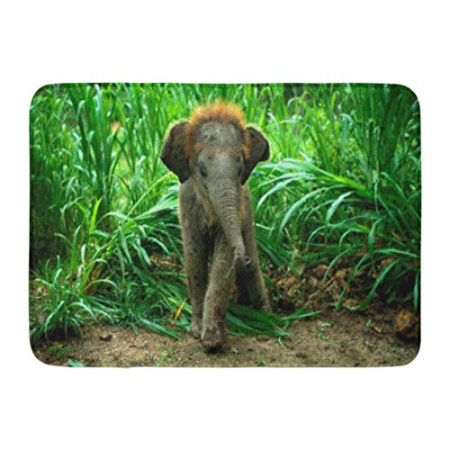 Soefipok Tapis de Bain Vert bébé éléphant et Herbe Animaux Plantes Tapis de Bain décor Sauvage