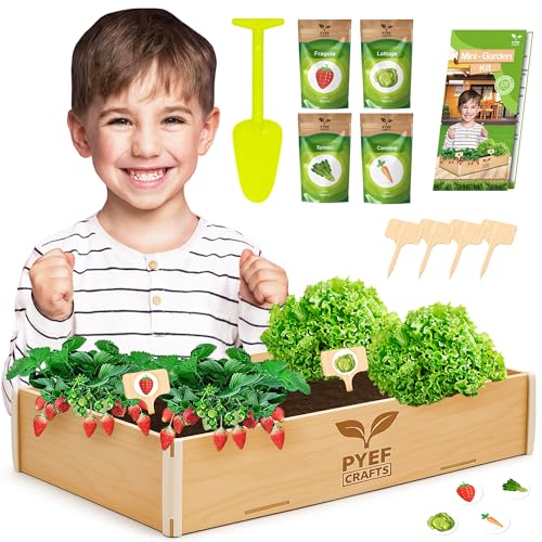 Kit Giardinaggio Bambini PYEF CRAFTS - Set Piante da Coltivare per Bambini in Casa - Orto Urbano & Regali Ecosostenibili - Kit Germinazione Semi Orto - Piantina da Far Crescere 6 Semi Verdur