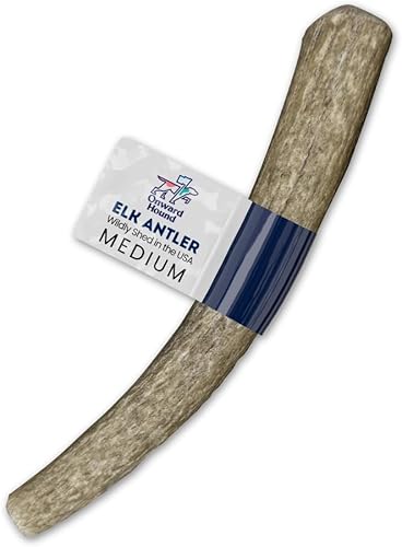 Onward Hound Cuernos de alce para perros medianos Grado A, libre de crueldad, cuernos de larga duración para perros Estimulante del apetito, Onward Hound Cuernos de alce para perros medianos Grado A, libre de crueldad, cuernos de larga duración para perros Estimulante del apetito,