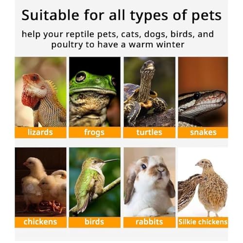 MANON ROSA Bird Cage Heater for Parakeets Chickens Parrots - Thermostatic Socket, Non-Light Emitting Lamp with 2 Ceramic Bulbs (E27 110V) - Small Pet Winter Warming Equipment(50W&100W) by MANON ROSA - Image 6