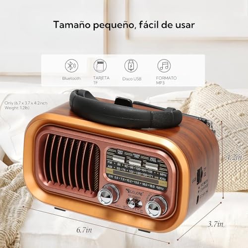 Dj E Iluminación, Electronics radio fm am Marca MIYIHA (3)