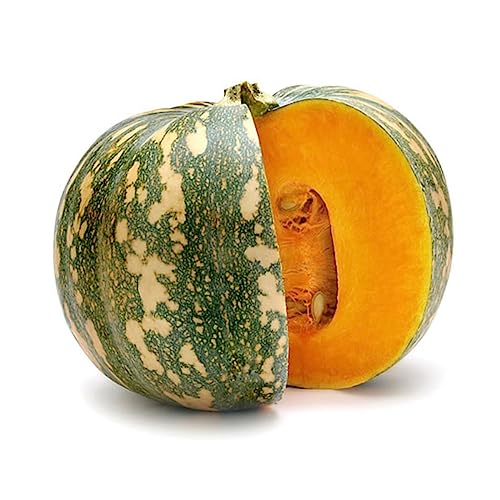 FELTRIN, Sementes de Abóbora Jacarezinho (Casca Grossa) FELTRIN