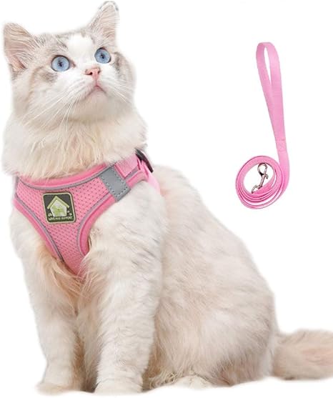 No pull cat harness Clearance