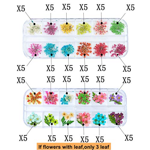 GOTONE 120pcs Dried Flowers 3D Nail Art Stickers Decoration DIY Preserved Real Flower Stickers Tips Manicure Decor Mixed Accessories,80pcs Starry+40pcs Five Flower with Leaves (2 Boxes)