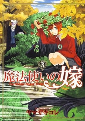 Amazon.co.jp: 魔法使いの嫁 2 (ブシロードコミックス