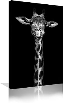 Amazon 白黒キリン 壁アート アニマルプリント キャンバス キリン 絵画 アートワーク Hd プリント アニマルポスター リビングルーム 寝室 バスルーム 装飾 フレーム入り すぐに掛けられます 24インチ X 36インチ ウォールステッカー オンライン通販