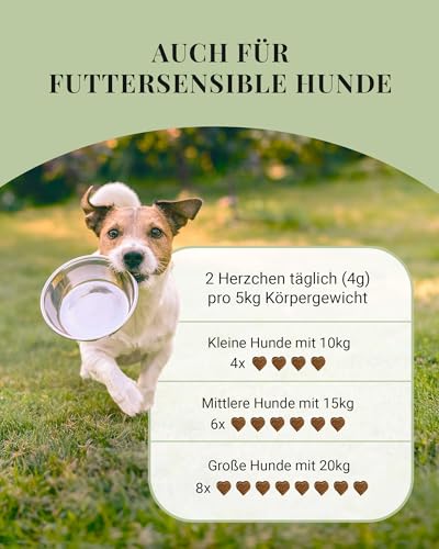 LEO LÖWENHERZ Gras- & Kotfresser Leckerlis für Hunde - 370g - Natürliche Drops zur Futterergänzung - Zuckerfrei & getreidefrei - Made in Germany