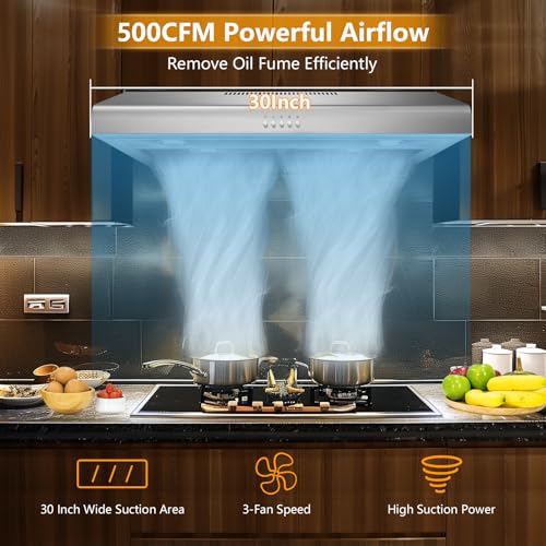 500 CFM Range Hood 30 Inch, Under Cabinet Range Hood for Duct/Ductless Convertible, Stainless Steel Kitchen Stove Vent Hood with 3 Speed Kitchen Exhaust Fan and Two Bright Energy-Saving LED Light