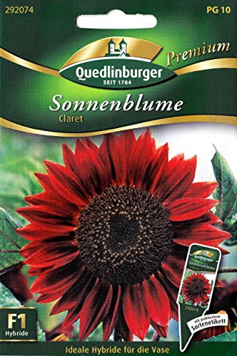Preisvergleich Produktbild Rote Sonnenblume, Helianthus annuus, ca. 15 Samen