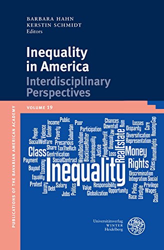 Inequality in America: Interdisciplinary Perspectives (Publikationen Der Bayerischen Amerika-Akademie / Publication)
