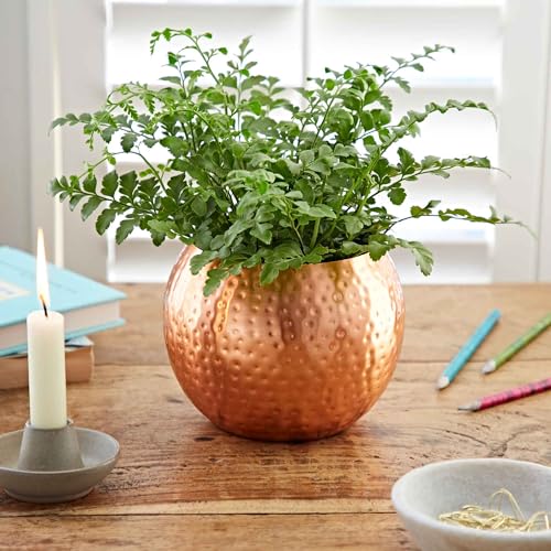 Paper High Hammered Iron Round Planter - Small Handmade Vase - Copper Plated Bowl - Indoor Plant Pot - Mottled Metal Effect - Small Houseplant Pot