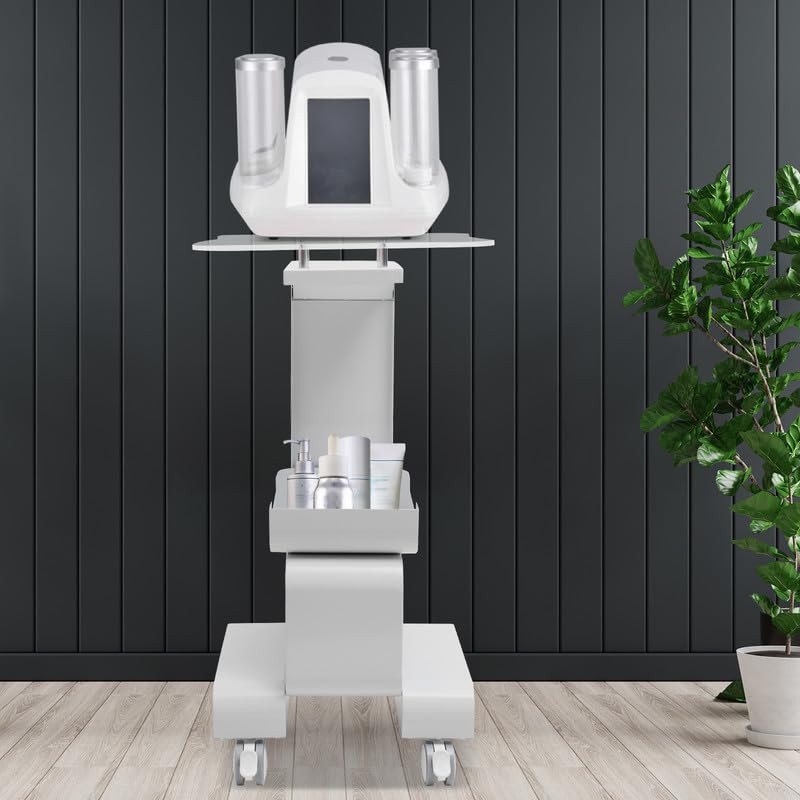 Carro Profesional De Metal con Ruedas Y Estantes, Carrito para Peluquería, Esteticista Y Salón De Belleza, Blanco