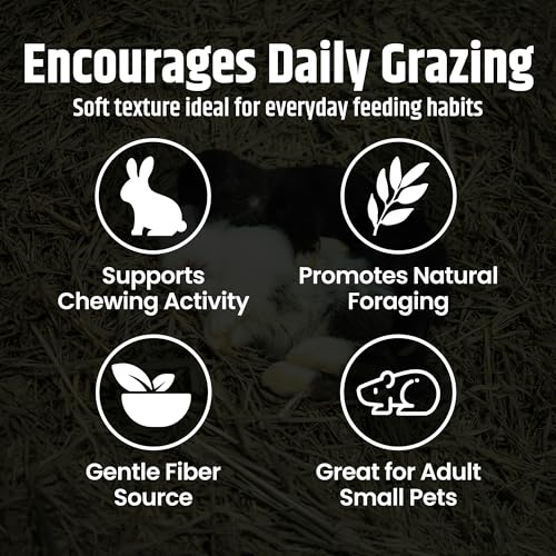 High Desert Orchard Grass Hay, Natural Orchard Hay for Rabbits Guinea Pigs Hamsters and Chinchillas, Soft Leaf Texture for Grazing and Foraging, Small Pet Supplies, Fresh Hand Packed Hay Box, 4 Lb - Image 4