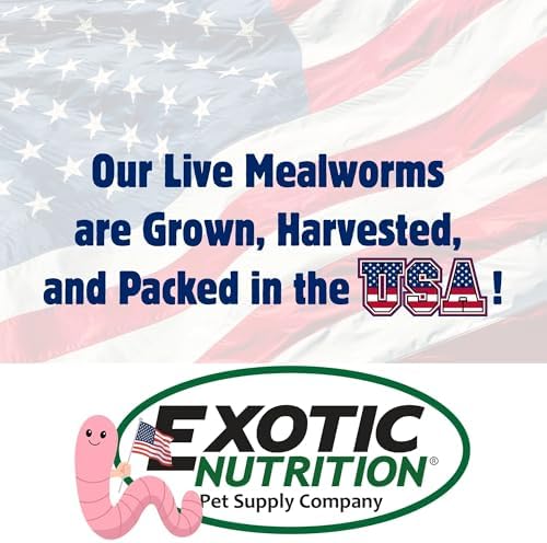 Exotic Nutrition Large Live Mealworms (3/4") (1000 Pack) - 4