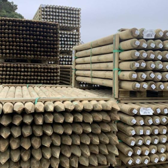 Estaca para árboles/Tutores con Punta, Postes de Madera de Pino tratada para Exterior/estacas de fijación, estacas para Jardin, tutores para Plantas (175 cm ⌀ 6 mm 8 Unidades)