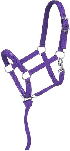 Miniatura 3 de Tough 1 Halter miniatura acolchado de nailon