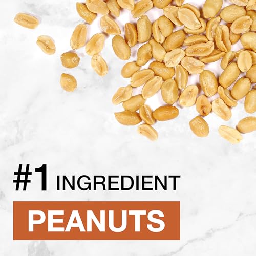 Image of KIND Protein MAX Crispy Chocolate Peanut Butter Snack Bars, 20g of Protein, Keto Friendly, 1g of Sugar Per Bar, Gluten Free, 12 Count Box
