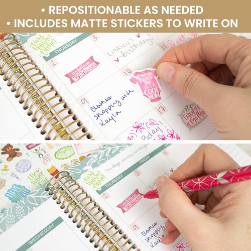 bloom daily planners New Pregnancy & Baby's First Year Planner Sticker Pack - 8 Sheets / 580+ Stickers - Maternity/Newborn Themed Stickers for Decorating, Planning, Scrapbooking, etc.