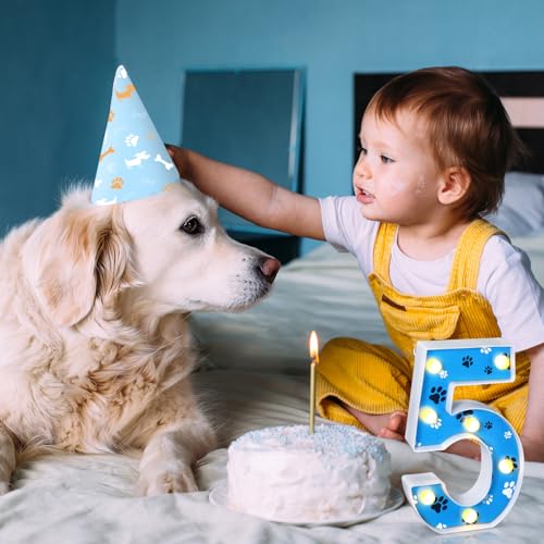 Image of Havawish Blue Paw Dog Birthday Light up Number Sign Dog Birthday Party Decorations for Boy Themed Party Supplies Prop Backdrop Sign, 8.58 Inches(Number 5)