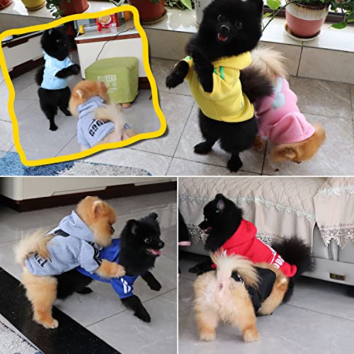 Hundemantel Hund Hoodies Kleidung, Pet Puppy Katze Niedlicher Baumwoll Warm Hoodies Coat Pullover(Grau, XS)