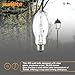 Sunlite MH400/U/MOG M59 Metal Halide Lamp, 400 Watts, Mogul Base (E39), ED37, 12,000 Hour Life Span, 36000 Lumen, Clear Finish, 4000K, 2 Pack