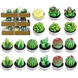 18PCS Cactus Tealight Candles Set, FULANDL Handmade Delicate Succulent Cactus Tealight Candles, Arti