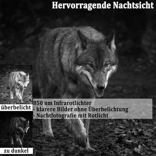 FunKind Wildkamera 4K 50MP, Wildtierkamera mit Nachtsicht Bewegungsmelder Weitwinkel 120°, 850nm IR LEDs Nachtsichtkamera, Nachtsicht bis zu 25 m, Jagdkamera mit 32 GB SD, Wasserdicht IP65