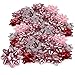 com-four® 48x Fiocchi Regalo Grandi e Piccoli in Bellissimi Colori - Fiocchi già Pronti per Decorare Regali per Natale e Matrimoni (48 Pezzi - Rosso - Rosa)