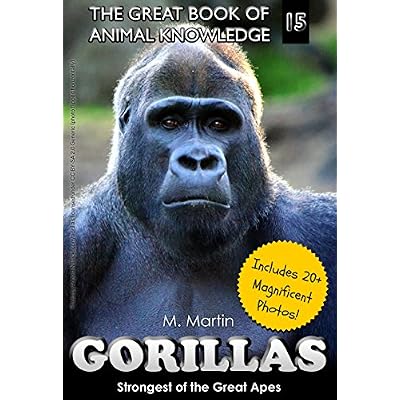 Gorillas