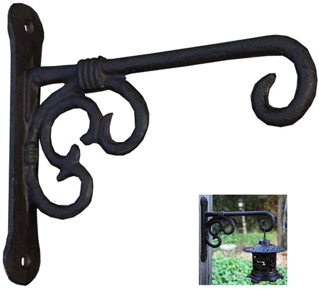 Winterharde hangplanten - Alles omtrent Wonen