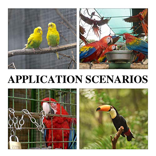 POPETPOP Brinquedos Do Pássaro Do Papagaio Pássaro Brinquedo Colorido Brinquedo de Mastigar Brinqued