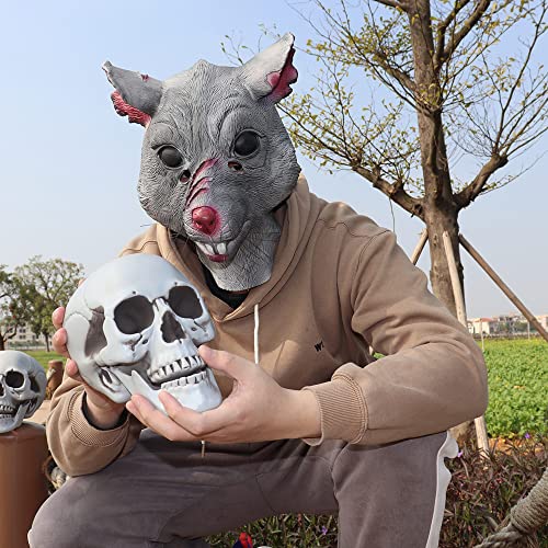 Photo complémentaire