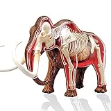 BACALYSO | 4D VISION ケナガマンモス リアル フィギュア 立体パズル 動物解剖 27cm級 マンモス 絶滅種 先史生物 プラモデル 解剖 内臓 骨格 組立 モデル 分解可能なシミュレーション イヌ 動物 模型 科学 教育 オリジナル スタチュー 完成品 プレゼント 置物