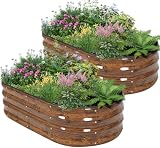 BIRDSINYARD Wood Grain 2-Pack