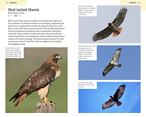 American Birding Association Field Guide to Birds of California (American Birding Association State Field) - Image 5